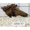 Dragonwood 47
