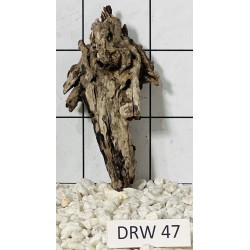 Dragonwood 47