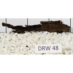 Dragonwood 48