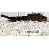 Dragonwood 48