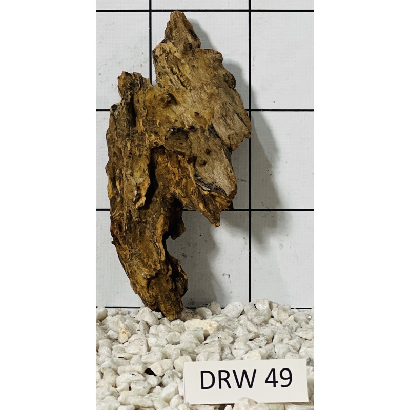 Dragonwood 49