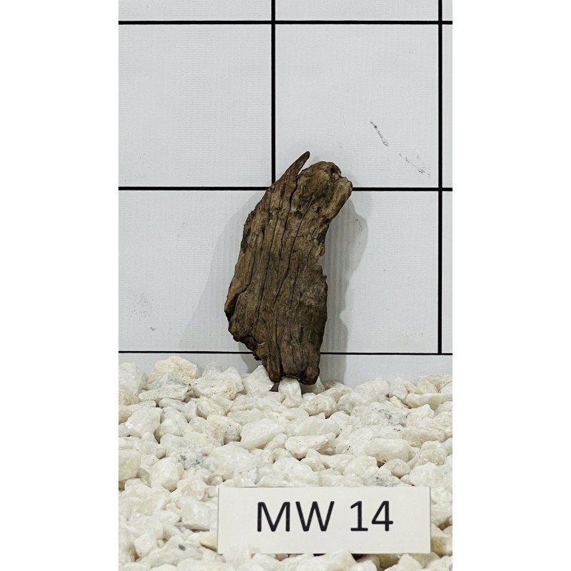 Mangrovewood 14