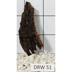 Dragonwood 51