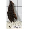 Dragonwood 51