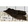 Dragonwood 51