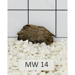 Mangrovewood 14