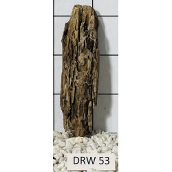 Dragonwood 53