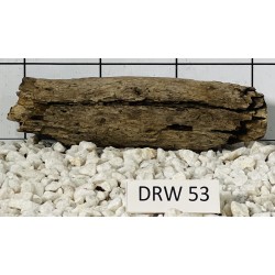 Dragonwood 53