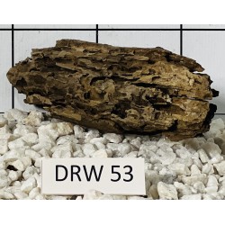 Dragonwood 53