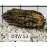 Dragonwood 53