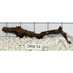 Dragonwood 54