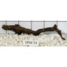 Dragonwood 54