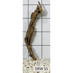 Dragonwood 55