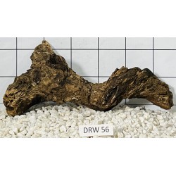 Dragonwood 56