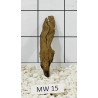 Mangrovewood 15