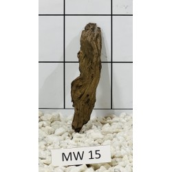 Mangrovewood 15