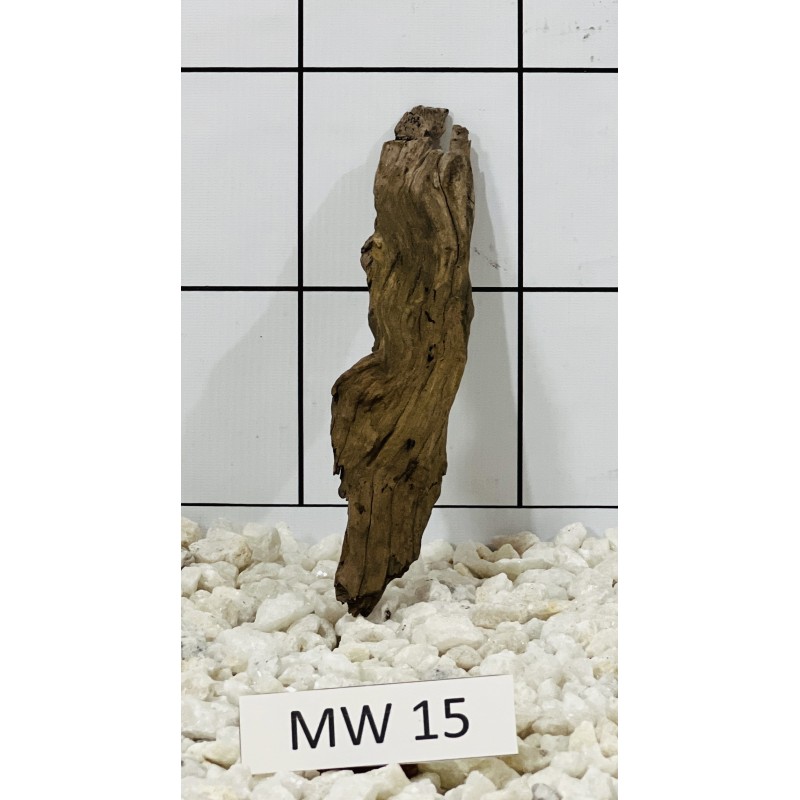 Mangrovewood 15