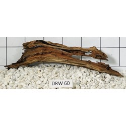 Dragonwood 60