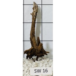 Stump wood 16