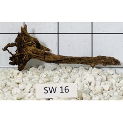 Stump wood 16