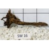 Stump wood 16
