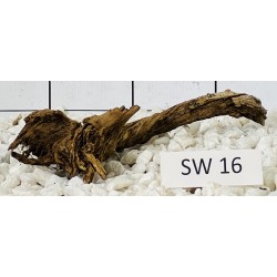 Stump wood 16