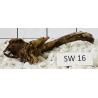 Stump wood 16