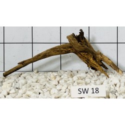 Stump wood 18