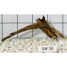 Stump wood 18