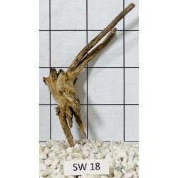 Stump wood 18