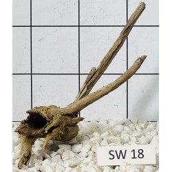 Stump wood 18