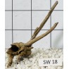 Stump wood 18