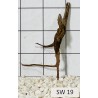 Stump wood 19