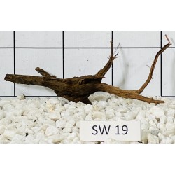 Stump wood 19