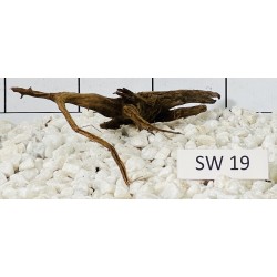 Stump wood 19