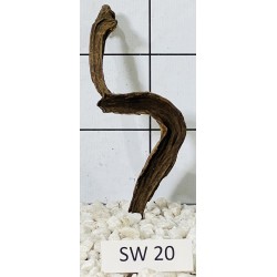 Stump wood 20