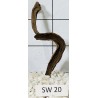 Stump wood 20
