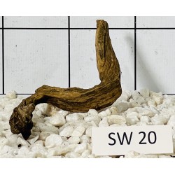 Stump wood 20