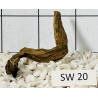Stump wood 20
