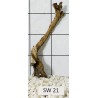 Stump wood 21