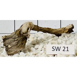 Stump wood 21