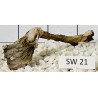 Stump wood 21