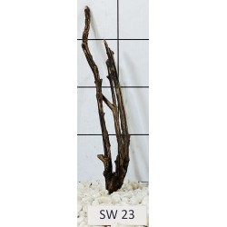 Stump wood 23