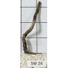 Stump wood 24