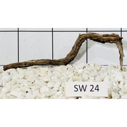Stump wood 24