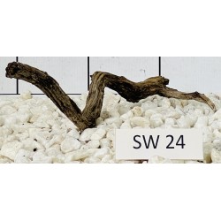 Stump wood 24