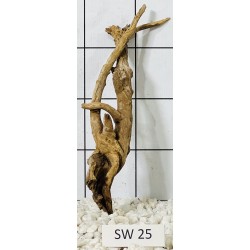 Stump wood 25