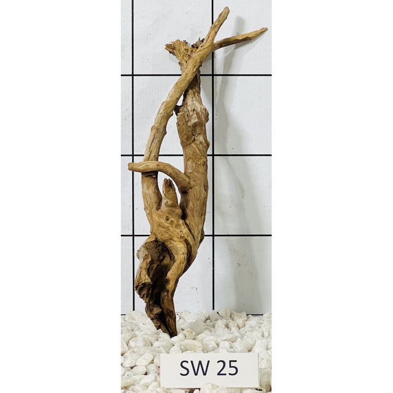 Stump wood 25