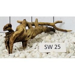 Stump wood 25