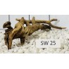 Stump wood 25
